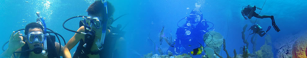 Buceo - Tortuga Dive School