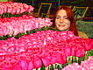 Ade_Rose_bed.JPG
